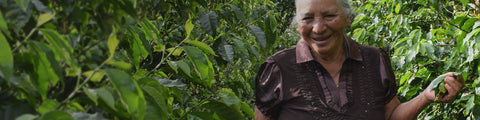 Coffee farmer Catalina Rodriguez surrounded by her coffee plants at COMSA coop in Honduras