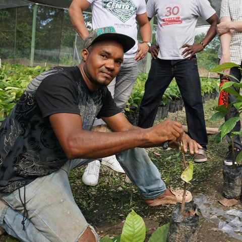 CONACADO member kneeling in front of a cacao seedling on a cacao nursery in the Dominican Republic