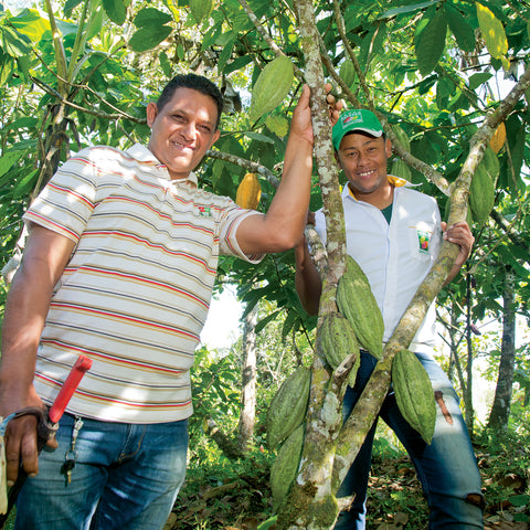 Two cacao farmers standing with cacao trees on a CONACADO co-op farm in the Dominican Republic
