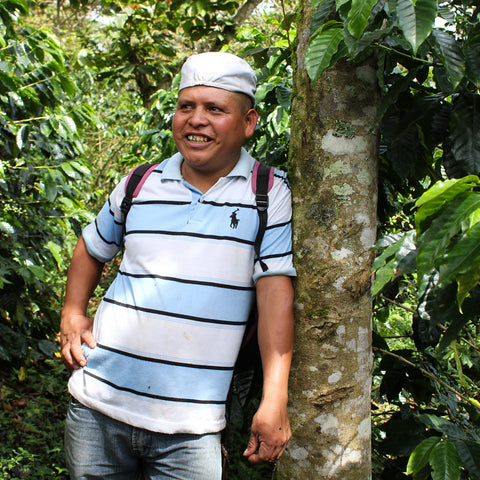 Kaxh Anay from Asociación Chajulense amongst coffee trees