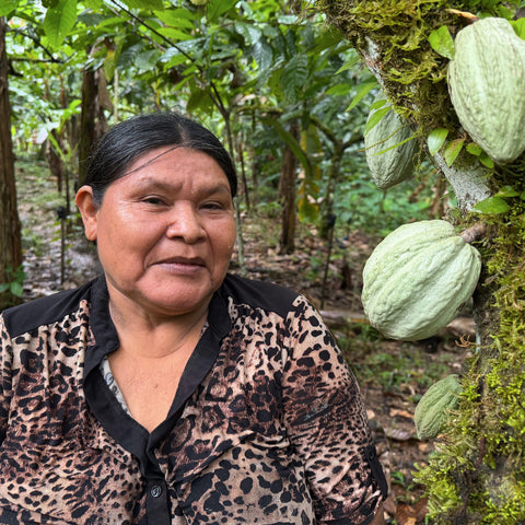 A woman wearing a leopard-print blouse stands in a lush green cocoa farm next to a tree trunk bearing large green cocoa pods.