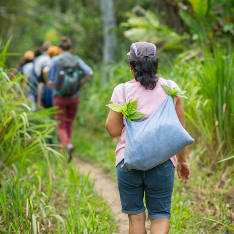 Investing in Our Planet With Organic Cacao Farming