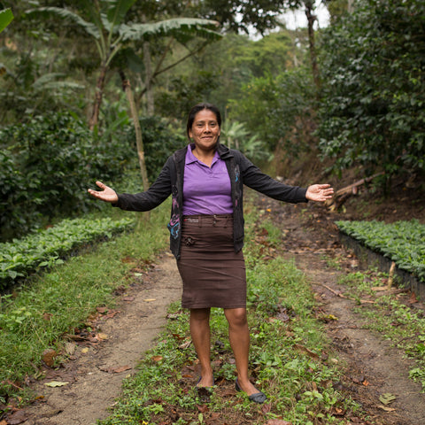 PRODECOOP coffee farmer between rows of her coffee trees