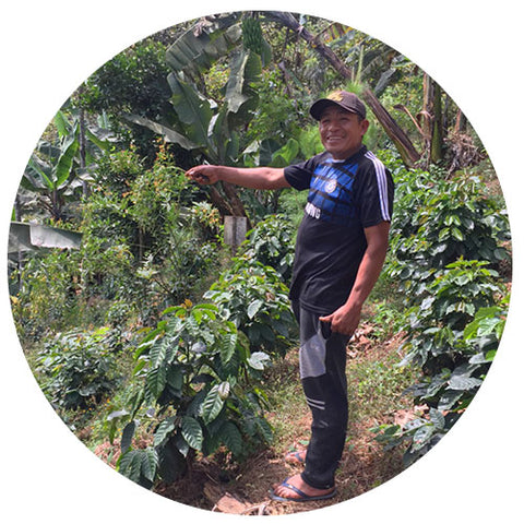 coffee farmer standing in front of young coffee plants