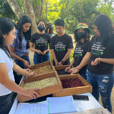 Group of students learning about coffee farming and the different stages of the coffee cherry