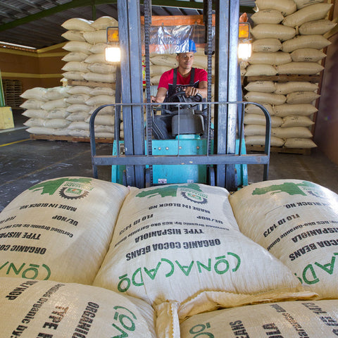 Moving bags of cacao beans with a fork lift ready for export at CONACADO co-op in the Dominican Republic