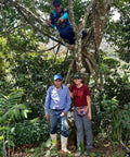 CESMACH partner Don Neftali's coffee plot in Nueva Colombia, Sierra Madre de Chiapas