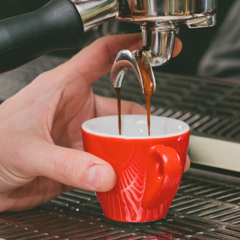 Pulling espresso shots in the Equal Exchange coffee lab