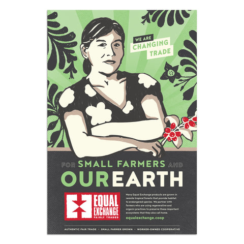 Mission Poster - Our Earth