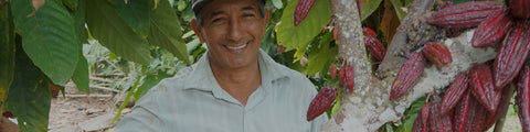Cacao farmer from ACOPAGRO co-op in Peru