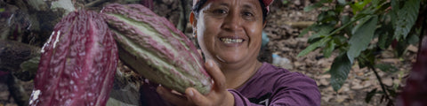 Cacao farmer from Oro Verde in Peru