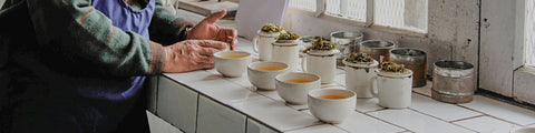 Tasting teas in four different mugs