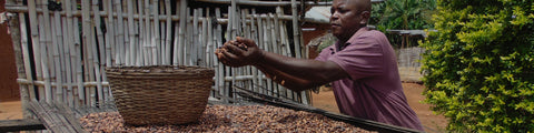 Cacao farmer from Soops Procab Co-operative in Togo