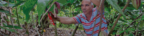 Cacao farmer from CONACADO co-op in the Dominican Republic