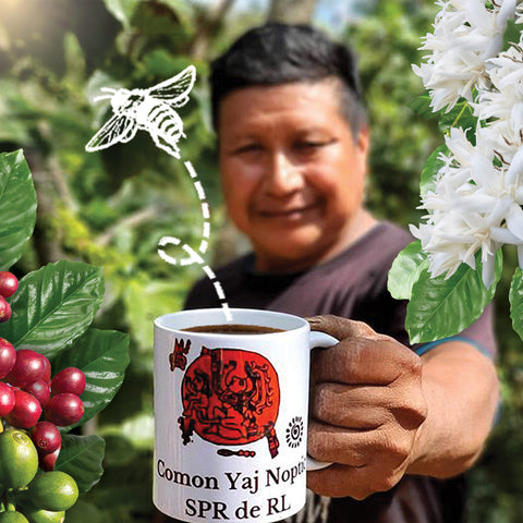coffee farmer holding mug of coffee with an illustration of a bee flying and flowers and coffee cherries in the background