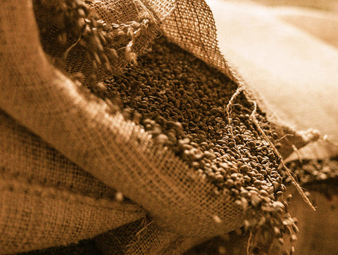 green coffee beans pouring out of an open burlap bag