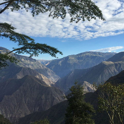 Peruvian landscape with mountains