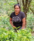 Woman standing among green coffee plants in a forested area