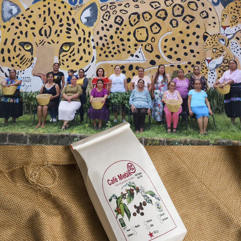 group of women holding baskets sitting and standing in front of a cheetah mural with a back of cafe metik coffee overlayed