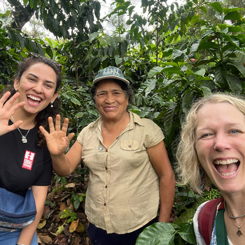 three smiling women wave to the camera in front of coffee trees