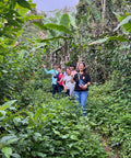 A group of five people walk along a trail in a jungle setting, smiling and waving