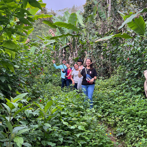 A group of five people walk along a trail in a jungle setting, smiling and waving