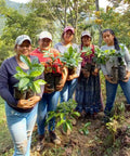 Group of five women of multiple generations holding coffee plants in Guatemala