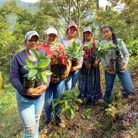 Group of five women of multiple generations holding coffee plants in Guatemala