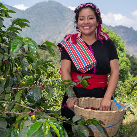 Marina Elizabeth De León Tzunún harvesting coffee on her farm in Guatemala