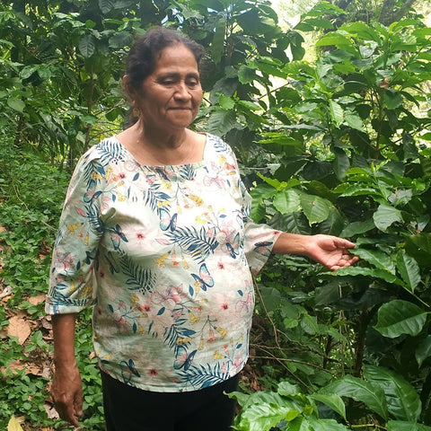 A woman standing among lush green coffee trees, wearing a light-colored floral blouse.