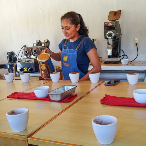 A woman in a blue apron stands behind a cupping table in a coffee quality lab, pouring hot water from a kettle into white cups. Several white ceramic cups with dark coffee are arranged on the table.