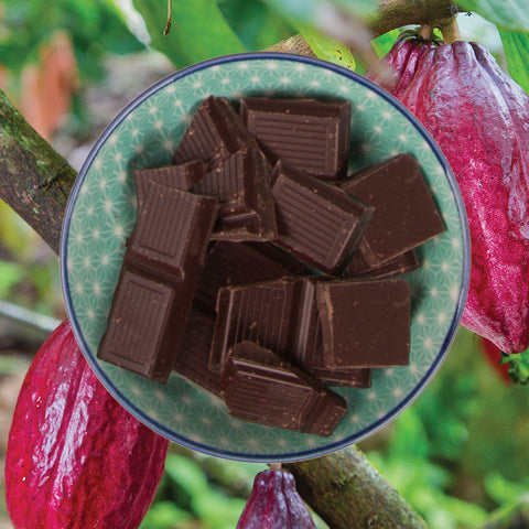 Bowl of chocolate pieces with cacao pods in the background