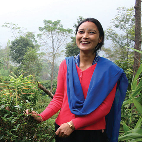 Tea farmer Binita Rai of Mineral Spring Co-op in Darjeeling India showing her tea plants among other diverse crops