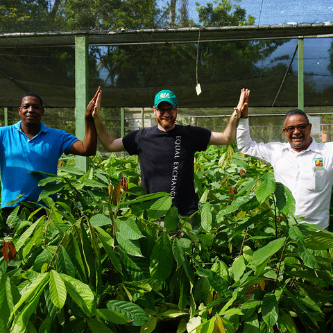 Dary Goodrich of Equal Exchange stands between Ramon Mosquea and Jaime Gomez surrounded by cacao seedlings at a CONACADO tree nursery