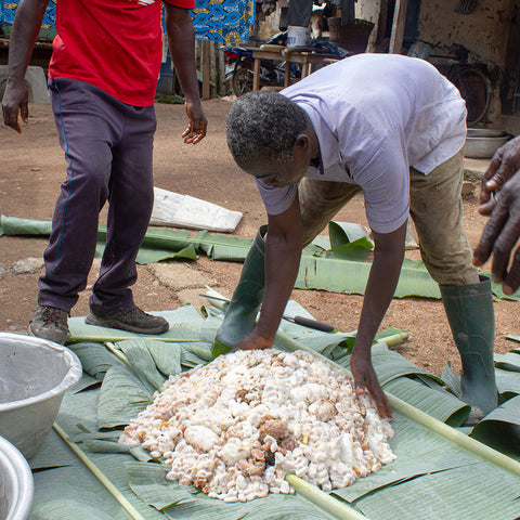 Ehossou Kodjo preparing to ferment his cacao beans in a pile under banana leaves in Badou, Togo