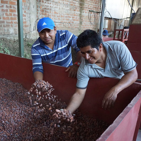 Henry Morveli Sullon and Domingo Pachacamac holding dried cacao beans