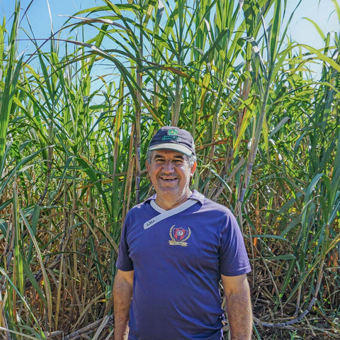 Sugar farmer Eulogio Zaracho standing in front of a field of sugar cane at Manduvira Coop in Paraguay