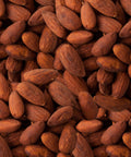 closeup of Equal Exchange organic tamari roasted almonds