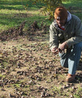 New Communities pecan farmer kneeling on ground looking at freshly harvested pecans