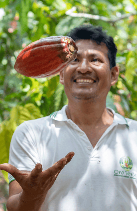 Oro Verde co-op member tossing an orange cacao pod and smiling