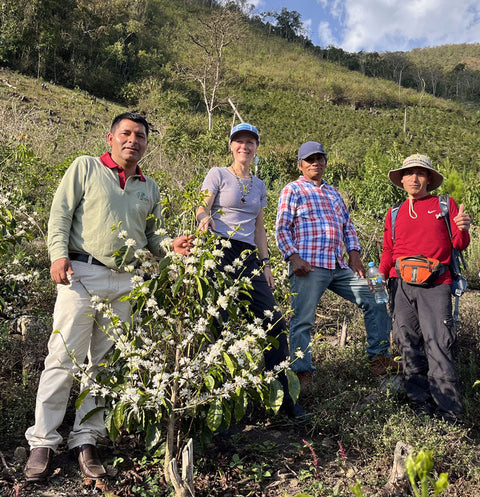 Five people standing outdoors in a farm field with coffee plants and a green hillside in the background.