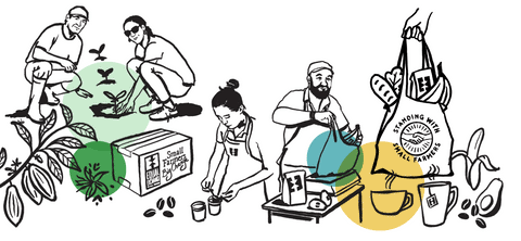 illustrations of people in the supply chain planting seedlings, cupping coffee and bagging groceries