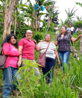 Four women standing together in a lush green field with trees and plants around them.