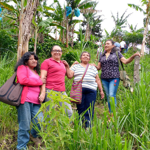 Four women standing together in a lush green field with trees and plants around them.