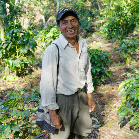 ASPROCAFE farmer member among his coffee trees