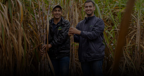 two sugar farmers standing with sugar cane at Manduvira co-op in Paraguay