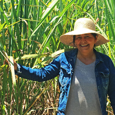 Petrona Bernal standing in front of sugar cane wearing straw hat in Paraguay
