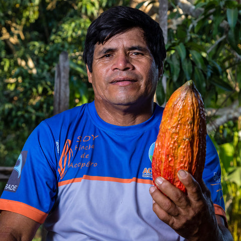 Javier Flores Garcia, member of ACOPAGRO co-op, holds up an orange and red cacao pod with cacao trees in the background