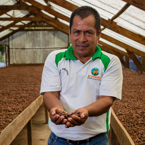 Lino Sinarahua Guerra, member of ACOPAGRO co-op in Peru holds drying cacao beans in his hands standing in front of raised drying beds