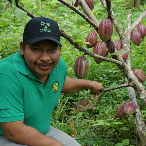 Manuel Palacio, member of COCABO co-op in Peru, kneeling in front of a cacao tree on his farm
